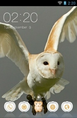 Barn Owl CLauncher Android Theme Image 1