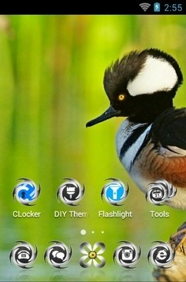 Hooded Merganser CLauncher Android Theme Image 2