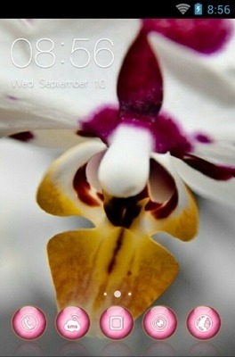 Lovely Orchid CLauncher Android Theme Image 1
