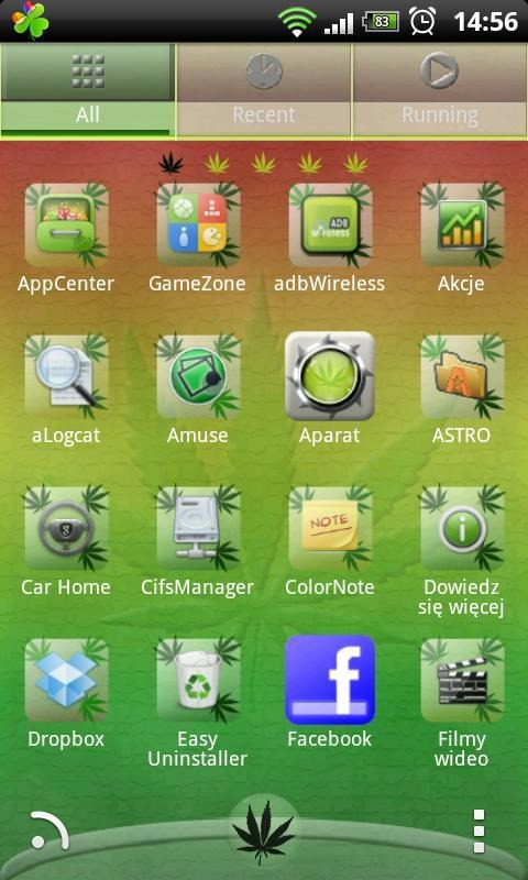 Rasta Go Launcher Android Theme Image 2