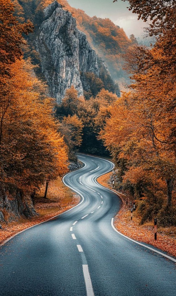 Road Mobile Phone Wallpaper Image 1