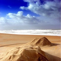 Beach View