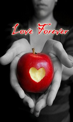 Love Forever