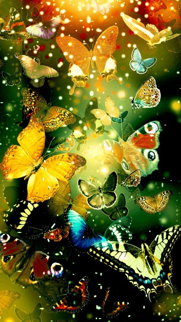 Bright Butterflies