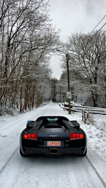 Lamborghini