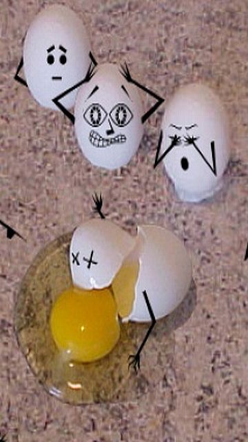 Eggs