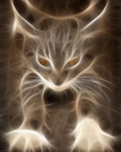 Cat Spirit