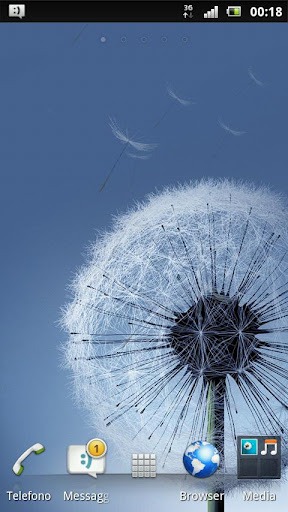 Dandelion Galaxy s3