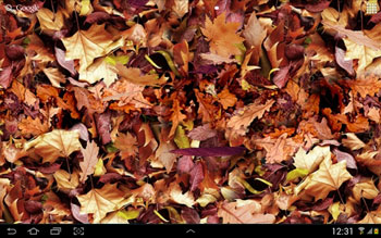 Autumn Leaves 3D
