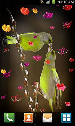 Love: Birds