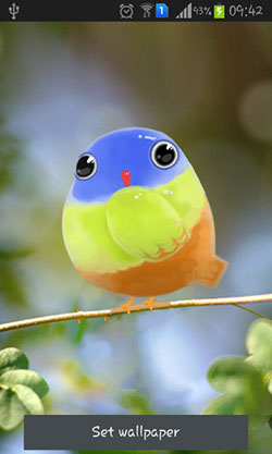 Cute Bird