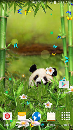 Funny Panda