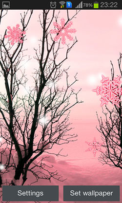 Pink Winter