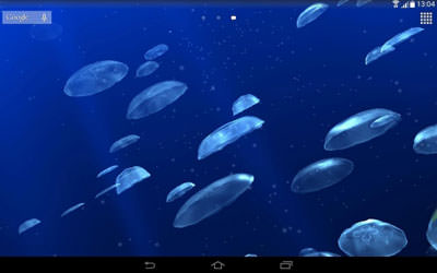 Jellyfishes 3D