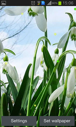 Spring Snowdrop