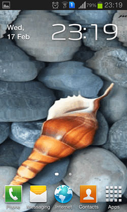 Seashell