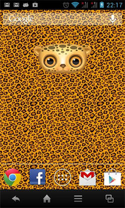 Zoo: Leopard