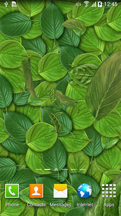 Leaves 3D