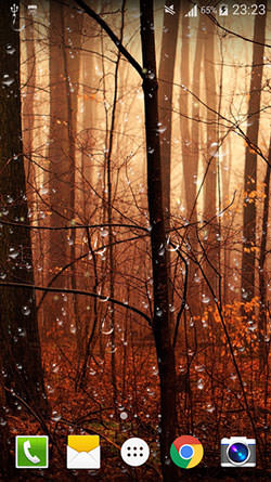 Fireflies Droplets HD