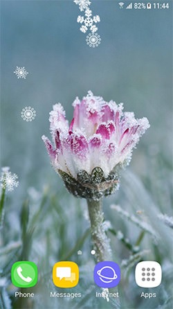 Autumn And Winter Flowers