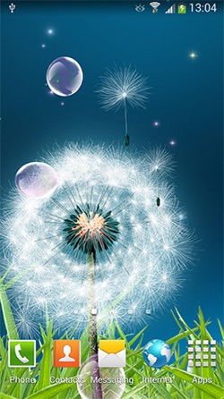 Dandelions