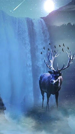 Winter Deer