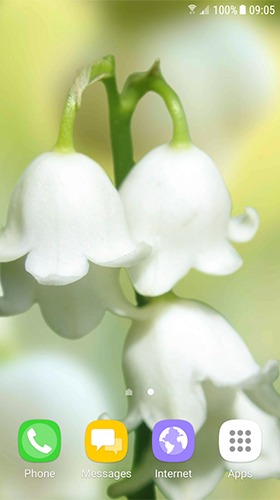 Lilies Of The Valley