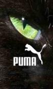 Puma  Mobile Phone Wallpaper