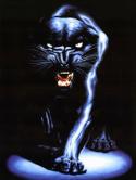 Black Panther QMobile M400 Wallpaper