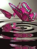 Butterfly QMobile M400 Wallpaper