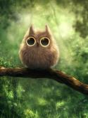 Cute Owl QMobile M400 Wallpaper
