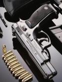 Gun Samsung M370 Wallpaper