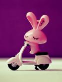 Pink Bunny  Mobile Phone Wallpaper