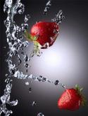Strawberries QMobile E700 Wallpaper