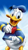 Donald Duck Nokia 701 Wallpaper