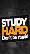 Dont Be Stupid Nokia 5250 Wallpaper