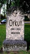 Orkut D End Sony Ericsson Vivaz Wallpaper
