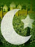 Pakistan Sony Ericsson K790 Wallpaper