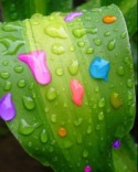 Rain Color  Mobile Phone Wallpaper