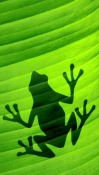 Frog Nokia N97 mini Wallpaper
