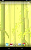 Bamboo Forest Realme Q Wallpaper
