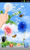 Sky Flowers HD Huawei nova 7i Wallpaper