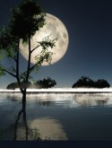 Moon Light Sony Ericsson Spiro Wallpaper