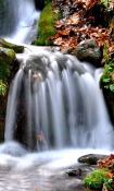 Waterfalls  Mobile Phone Wallpaper