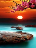 Amazing Sunset Samsung M350 Seek Wallpaper
