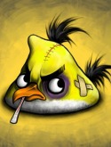 Angry Bird Samsung D900 Wallpaper