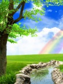 Rainbow Nature 3d Nokia 215 Wallpaper