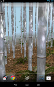 Bamboo Forest 3D Realme Q Wallpaper