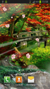 Zen Garden Realme Q Wallpaper