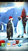 Christmas Edition: Penguins 3D Realme Q Wallpaper